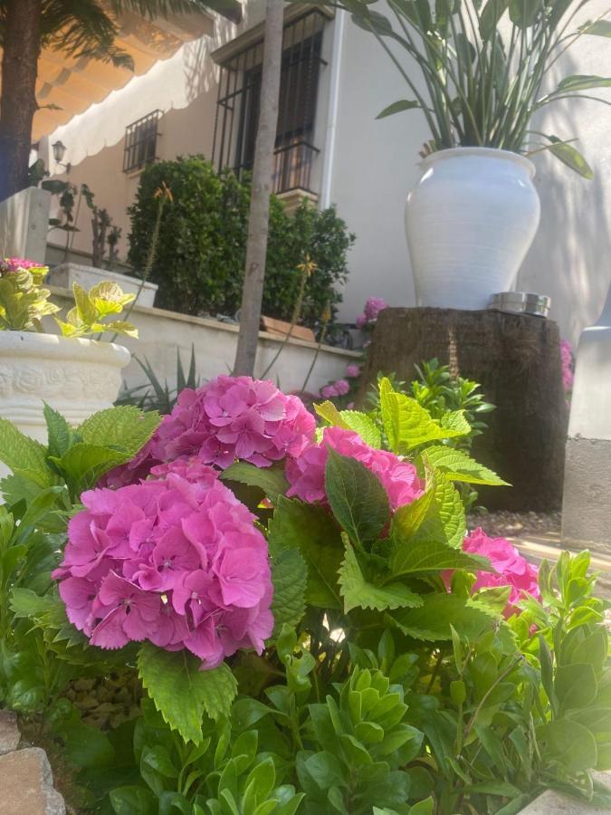 Casa Los Encinares 科爾多瓦 外观 照片
