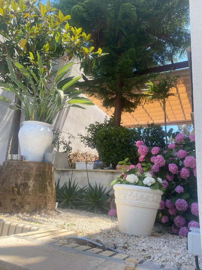 Casa Los Encinares 科爾多瓦 外观 照片